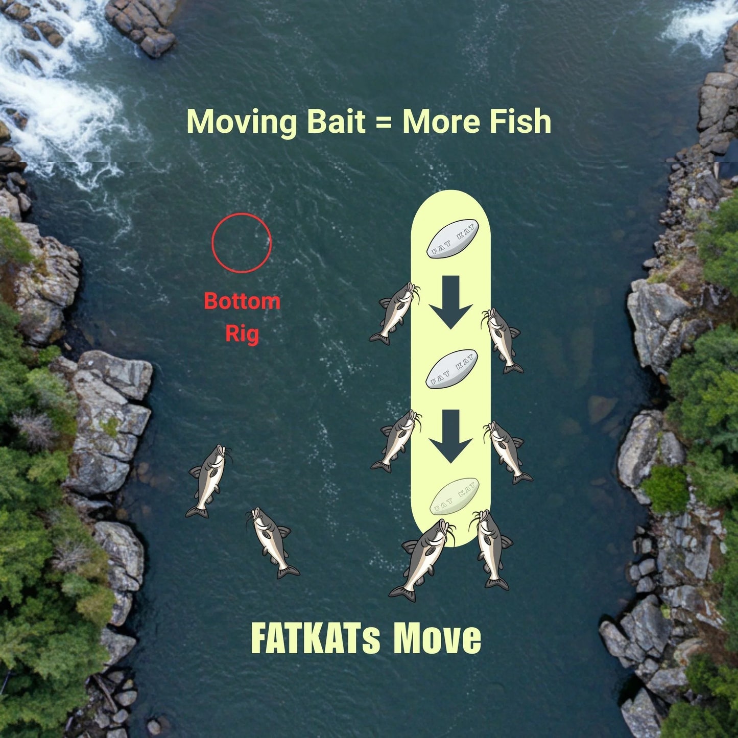 FATKAT Rig —  Pre-Tied Catfish Drift Rig for Lakes, Rivers & Bank Fishing