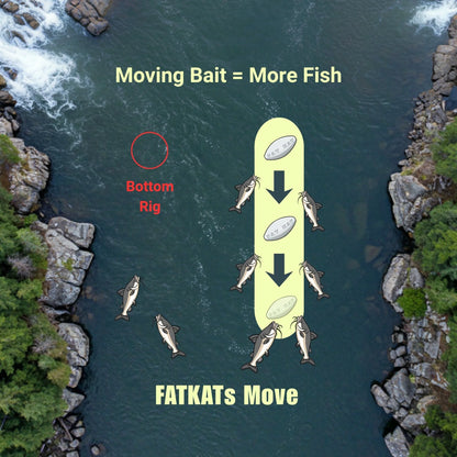 FATKAT Rig —  Pre-Tied Catfish Drift Rig for Lakes, Rivers & Bank Fishing