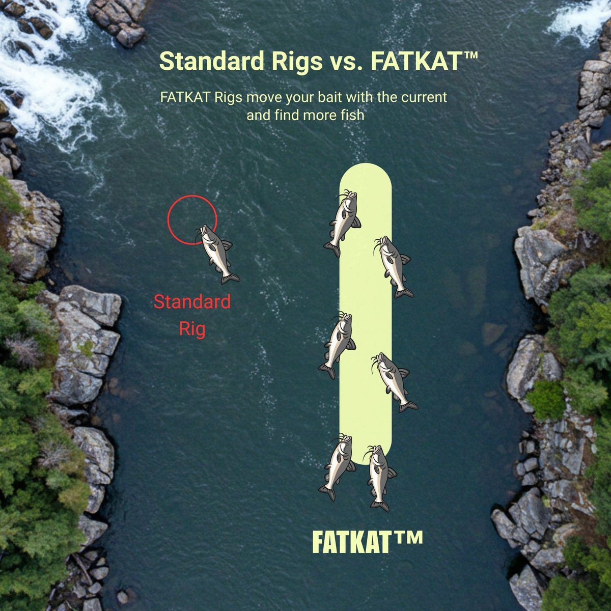 Telladrift Rig FATKAT Catfish Drift Rig β Lakes, Rivers & Bank Fishing