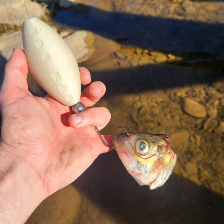 Fresh cut bait on a hook ready for blue catfish fishing.