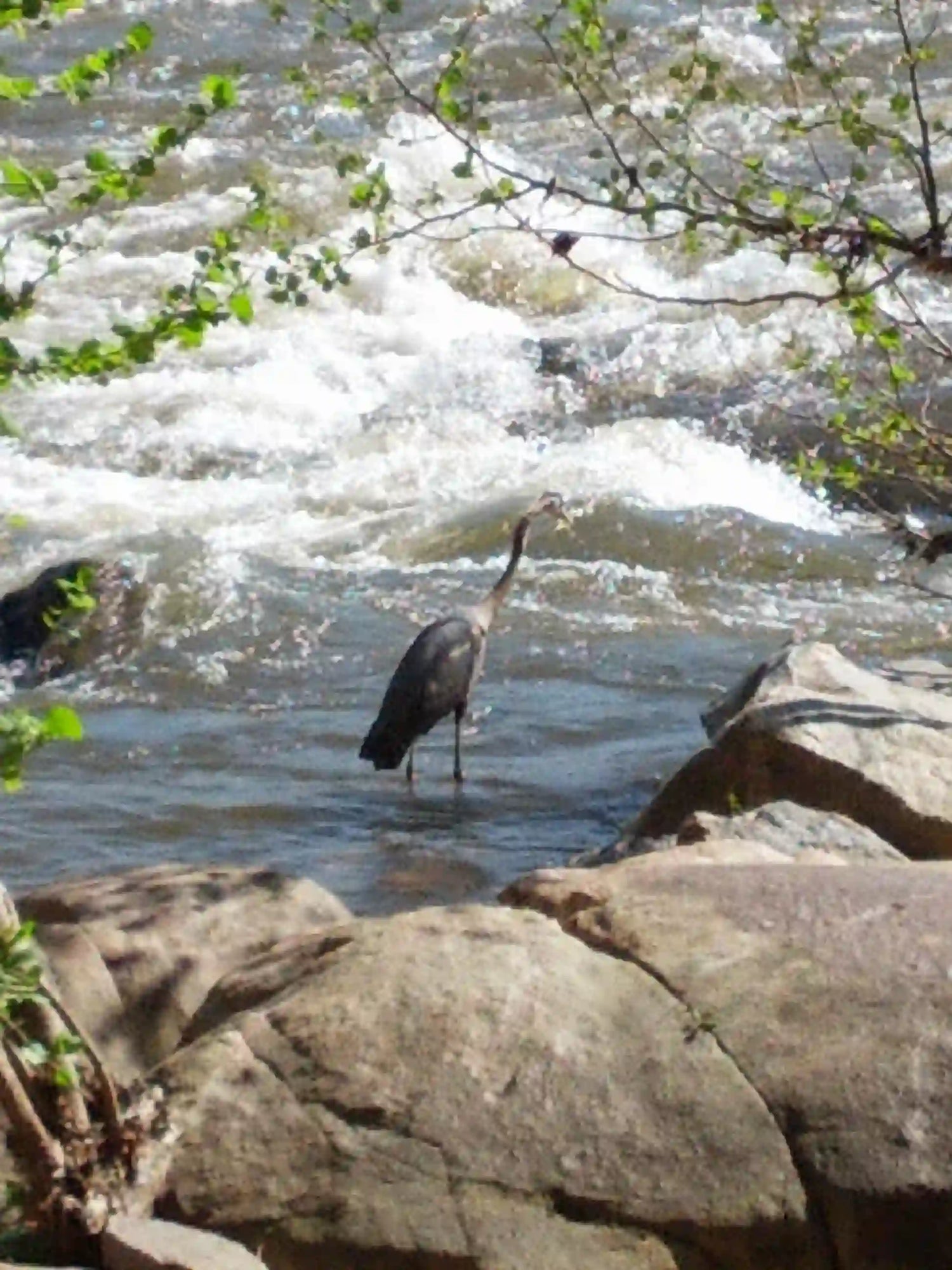 Fishermen who have chosen eco-friendly organic cotton apparel