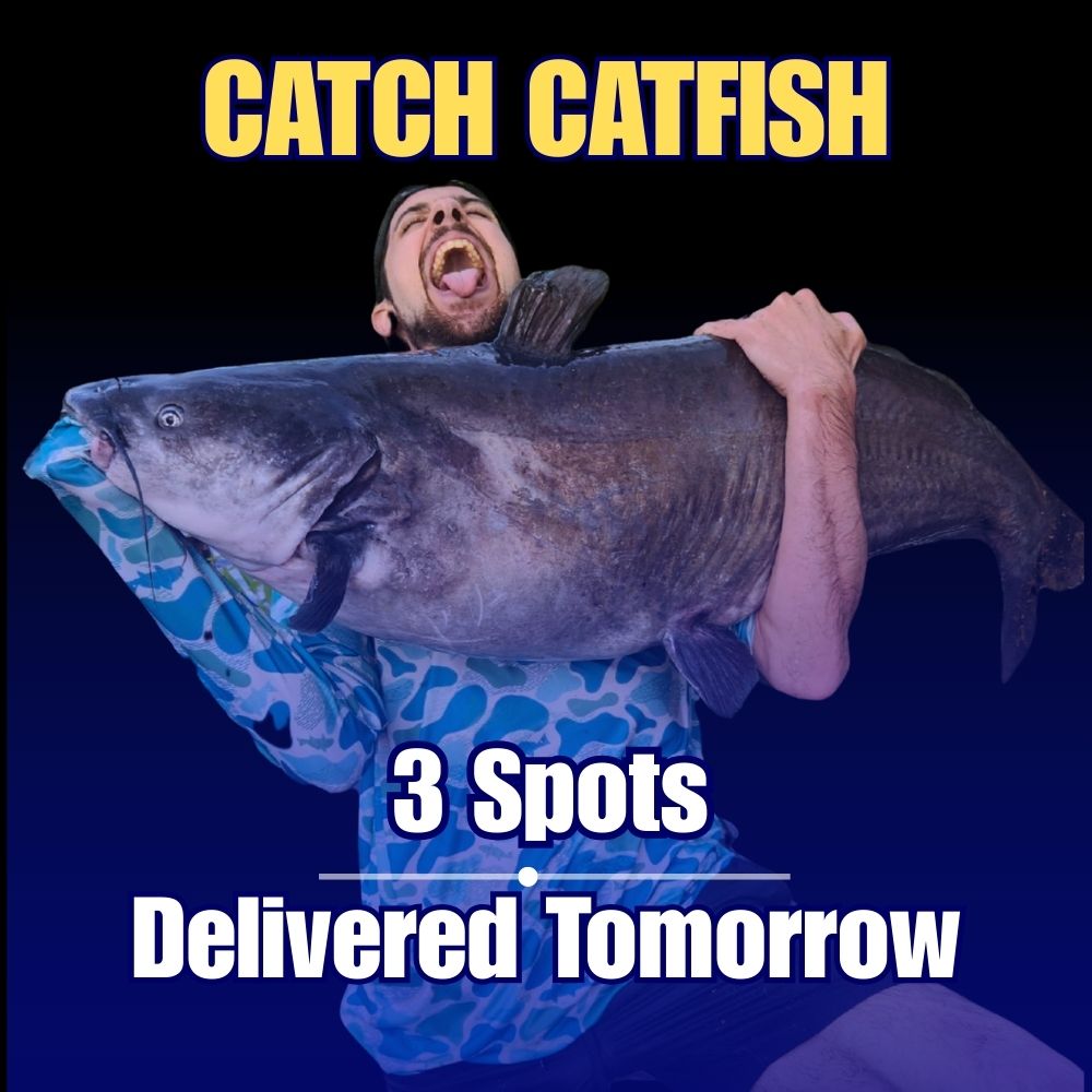 Fast Track Catfish Spots - Start Catching NOW!