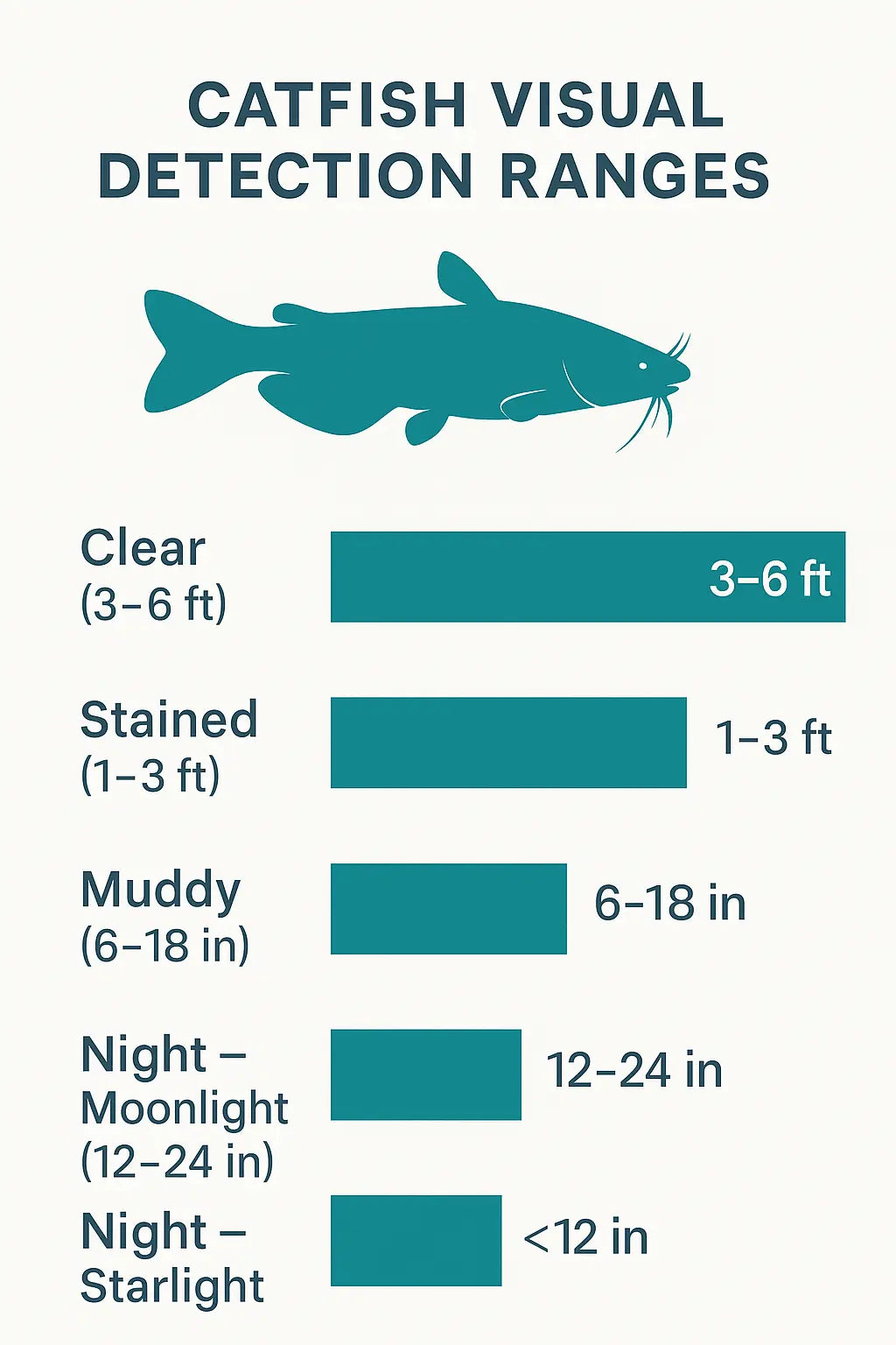 Scientific infographic showing realistic catfish visual detection distances: 4–6 feet in clear daylight, 2–3 feet in stained water, 12–18 inches in muddy water, about 2 feet under moonlight, and 6–12 inches under starlight.