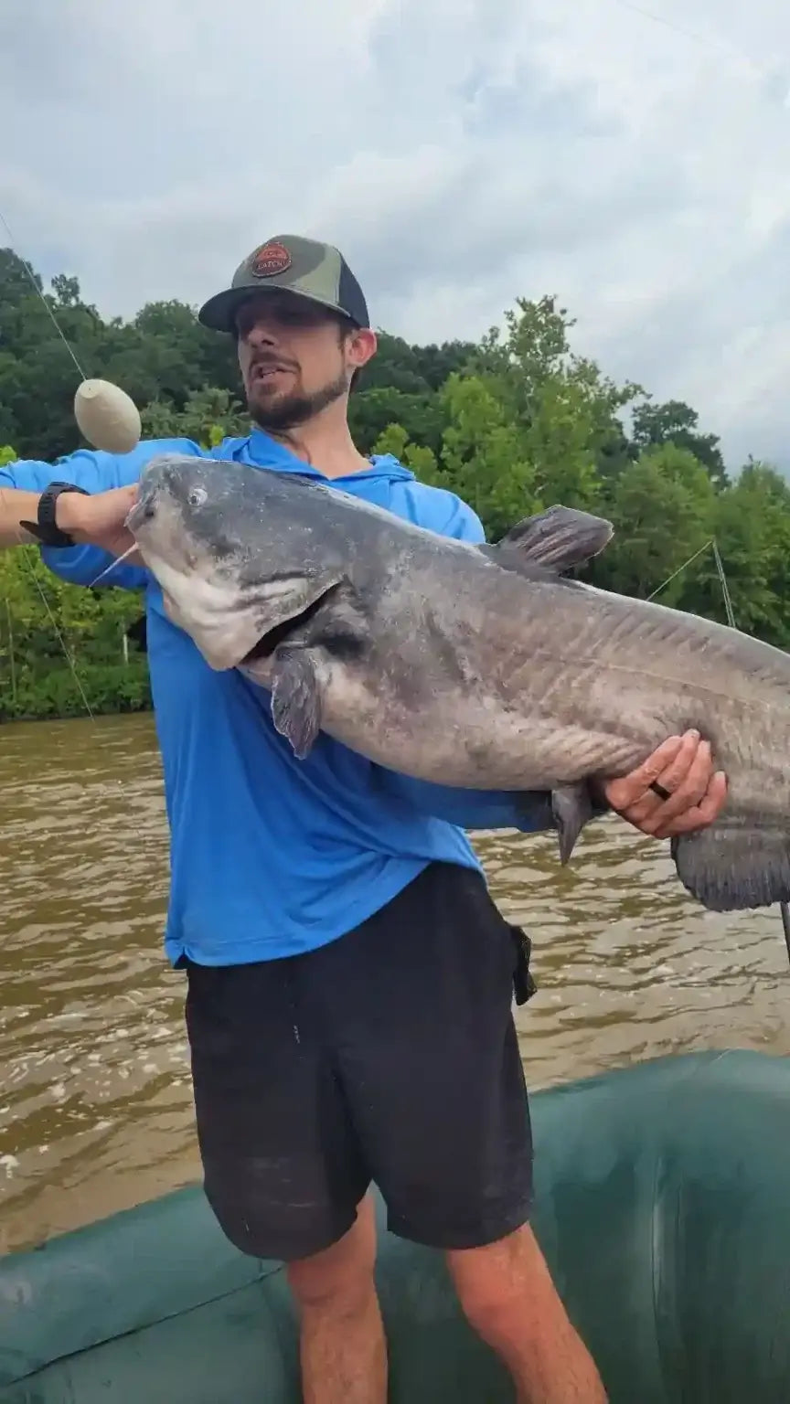 A river monster blue catfish being brought in by the FATKAT Bobber Rig, the #1 Best of all the Catfish Rigs for 2026