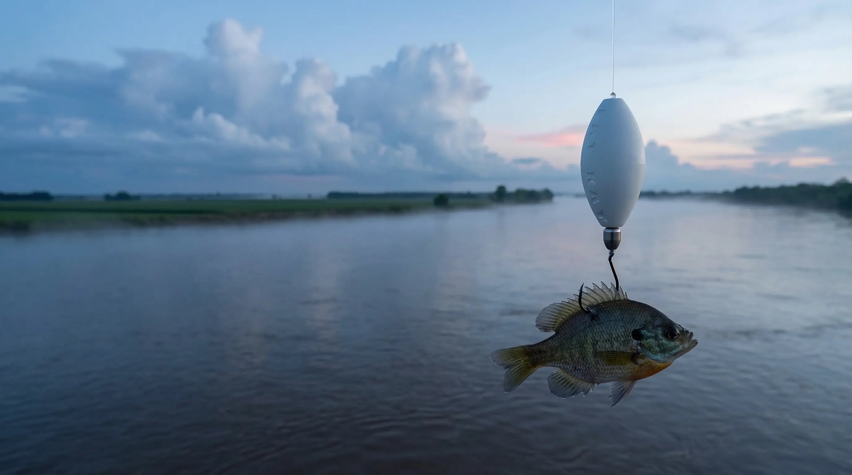 A FATKAT Drift Rig with bluegill as bait suspended over the Mississippi River.