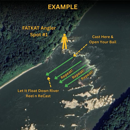 Fast Track Catfish Spots - Start Catching NOW!
