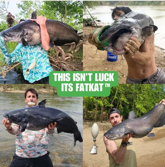 Anglers with pictures of large catfish from a river with the best catfish setup a Penn Fierce with a FATKAT Drift Rig