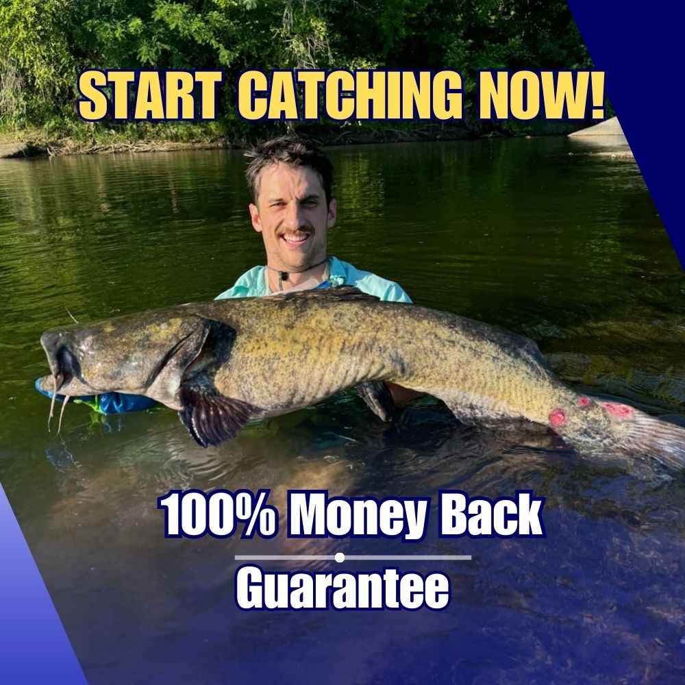 Fast Track Catfish Spots - Start Catching NOW!