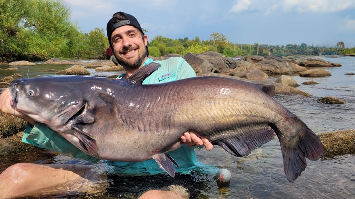 Blue catfish caught in river and reservoir environments.