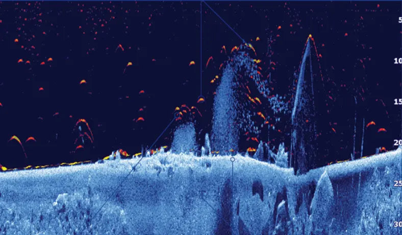 Sonar display showing deep river hole holding large flathead catfish