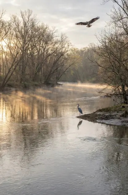 Early spring tidal river ecosystem signaling the start of the spring run with birds and rising water